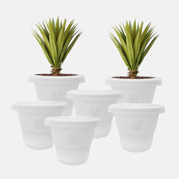 Planters